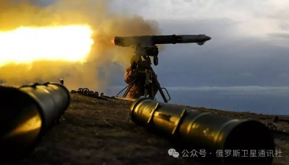 俄公共院：乌克兰实际上已失去对顿涅茨克西部最大锂床的控制