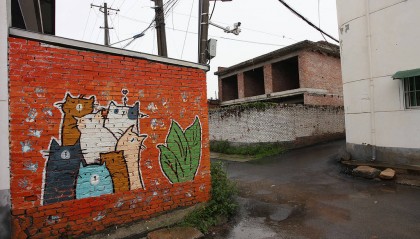 报告反映某地村屋闲置率高达43.8%，盘活宅基地要慎重