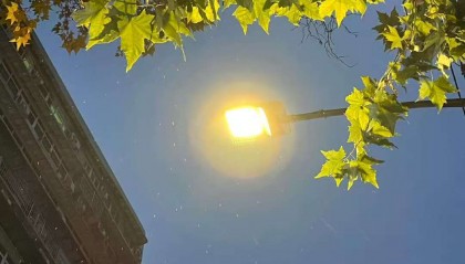 刚刚，武汉下雪了！最低气温-2℃，出门注意保暖