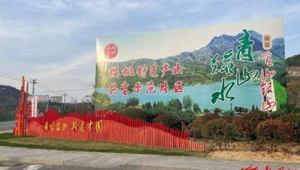 临沂市莒南县坪上镇厉家寨村：一条环山路每年引来百万游客，带“火”亿元级樱桃产业