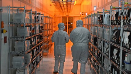 闻泰科技：荷兰想让本国企业接手，但没用，客户不会追随