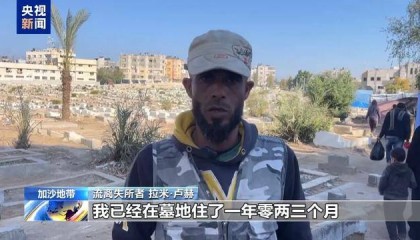 “没工作 没收入 只能住在墓地”，央视曝光加沙困境