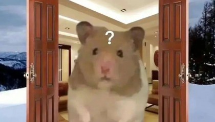 小布说天气 | 不舍得跟秋天说再见，但冬天真的要来了！