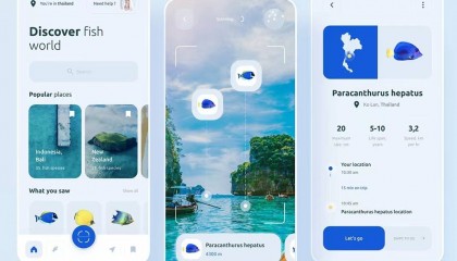 区块链技术在版权保护领域的应用
