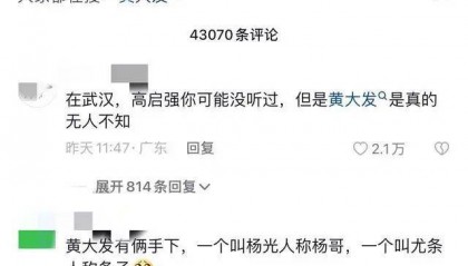 “武汉高启强”涉黑组织，被湖北公安机关打掉