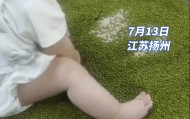 女子将婴儿放在超市绿豆售卖框里玩耍，超市回应：马上下架这批绿豆
