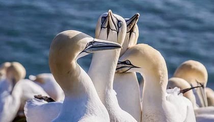 女子穿吊带裙散步被“街拍”,两年后发现照片被配文:只要自己不尴尬,尴尬的就是别人,法院:三被告侵犯肖像权、名誉权