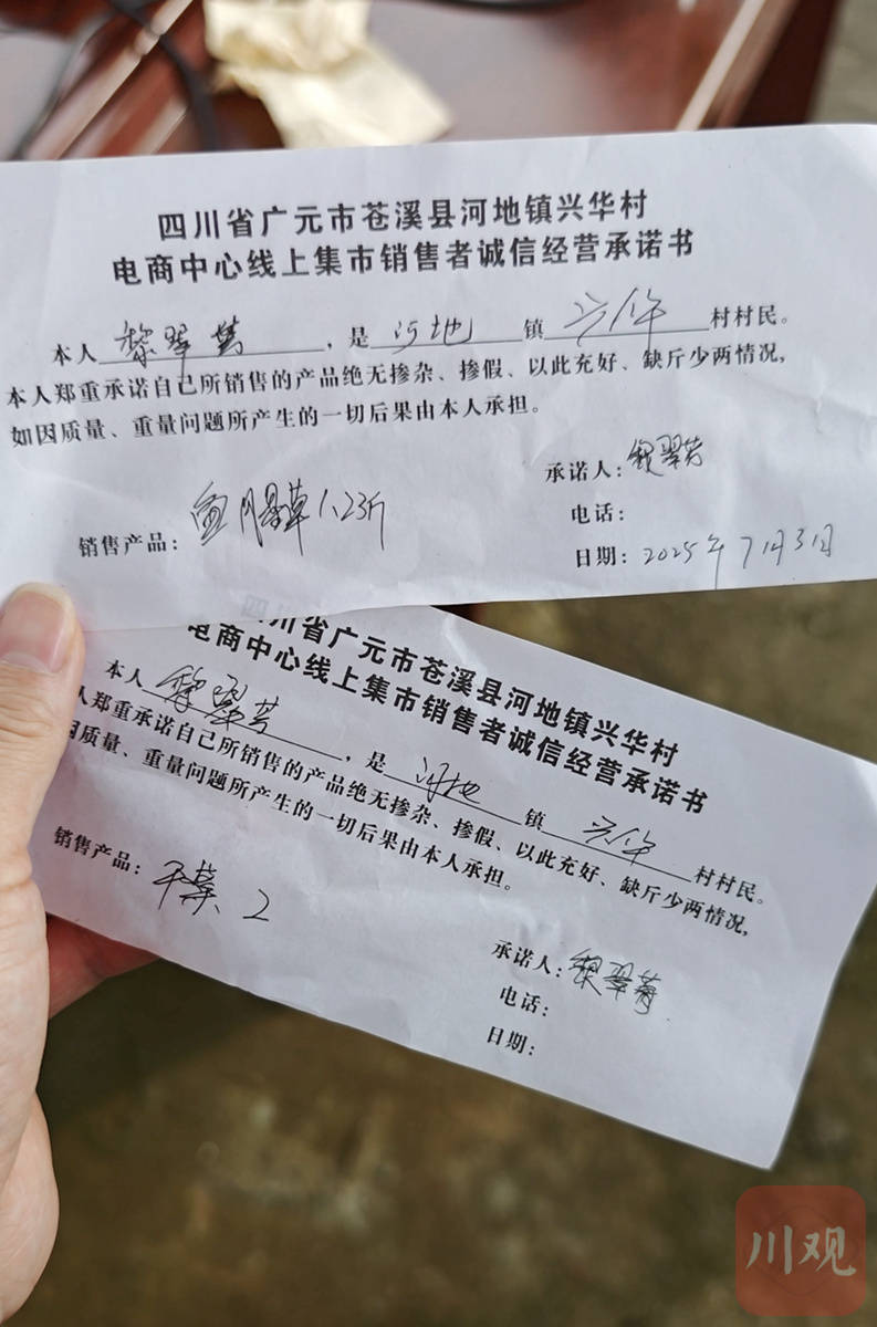 四川这个欠发达县，为何有400多名网络主播？