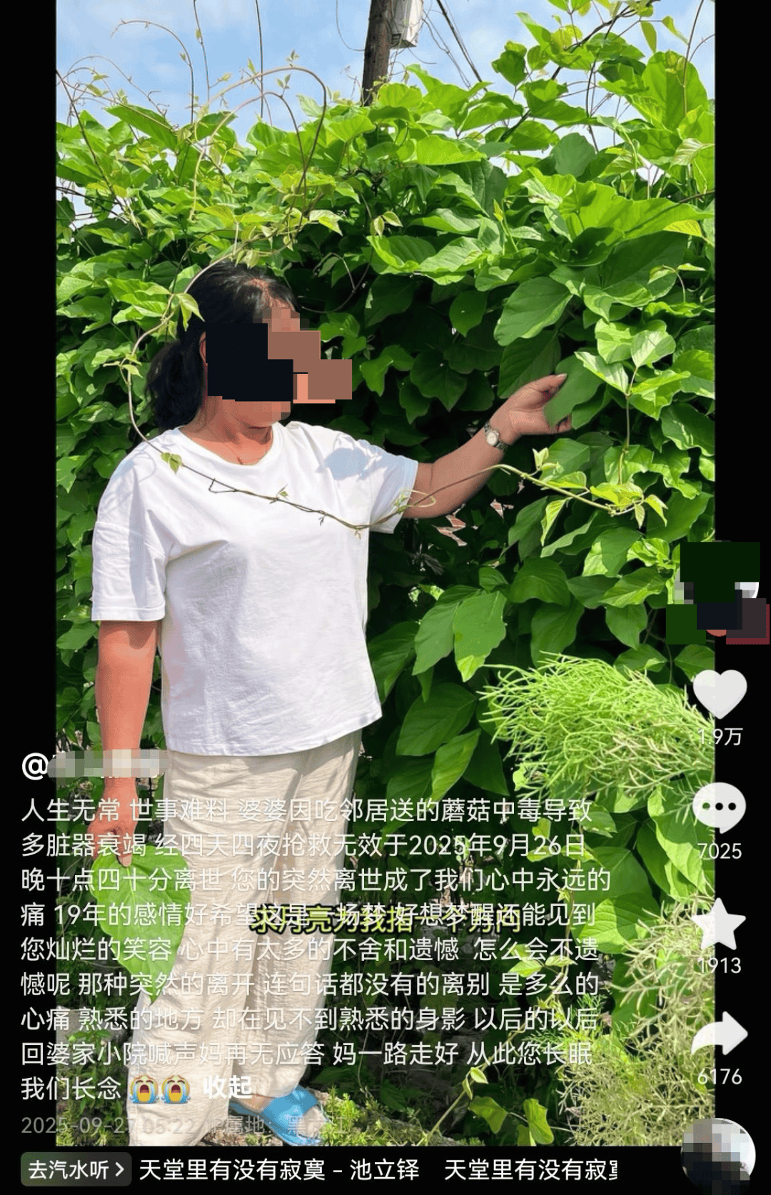 网红发文悼念婆婆：吃了邻居送的蘑菇中毒，抢救四天四夜死亡！这些蘑菇避毒原则可能是陷阱→
