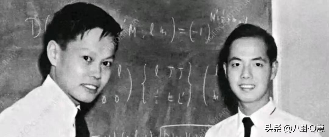 不查不知道,一查吓一跳!杨振宁的弟弟杨振汉,人生活的这么精彩