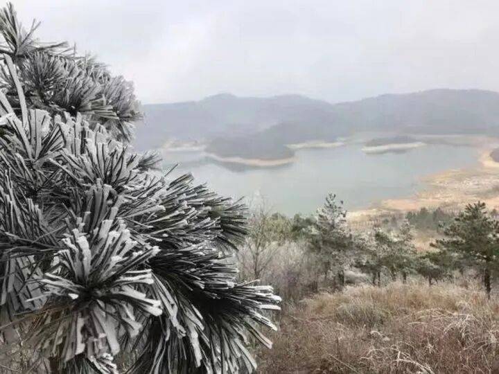 禁止任何形式穿越！杭州一地发布最严禁令