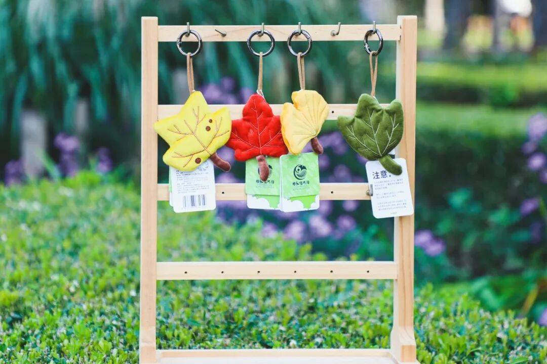 绝美!北京秋季颜值已达巅峰!这样定格最美秋天!