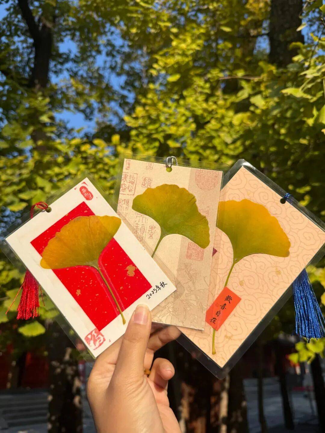 绝美!北京秋季颜值已达巅峰!这样定格最美秋天!