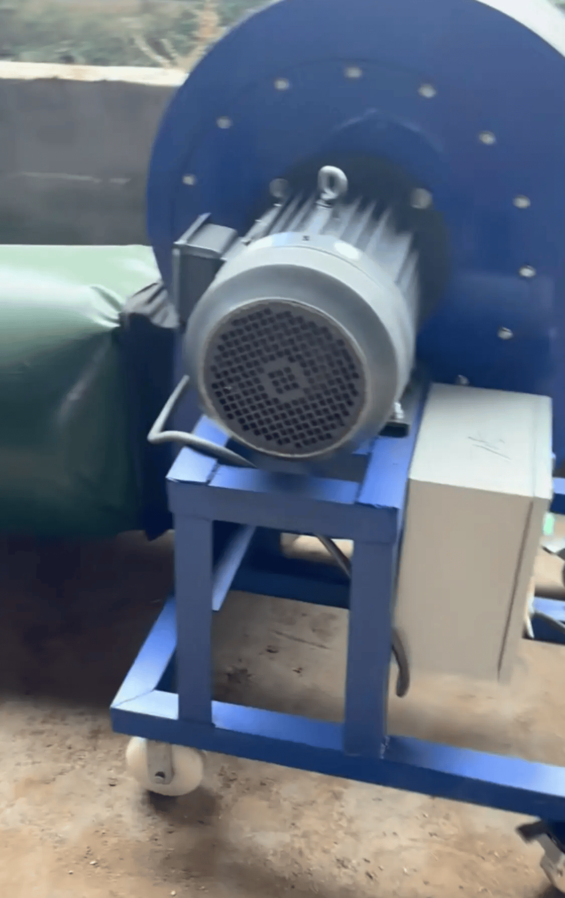 阴雨50天,他用3200块救回30万斤玉米